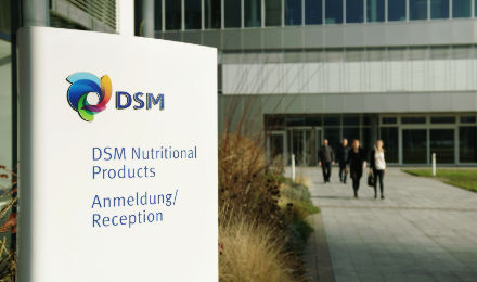 DSM in Kaiseraugst DSM in Kaiseraugst
